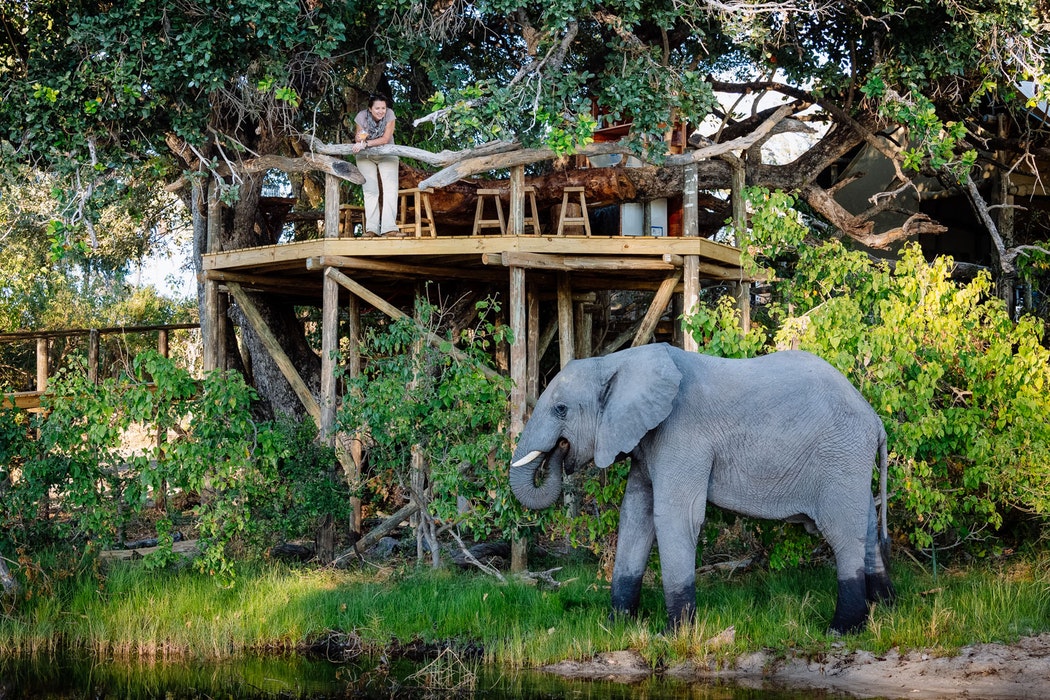 Saadani safari accommodations
